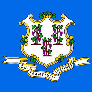 Connecticut State Flag