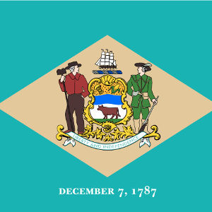 Delaware State Flag