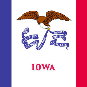 Iowa State Flag