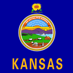 Kansas State Flag