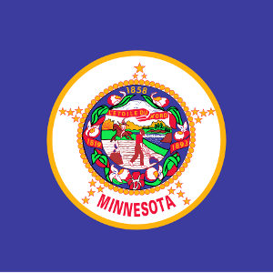 Minnesota State Flag