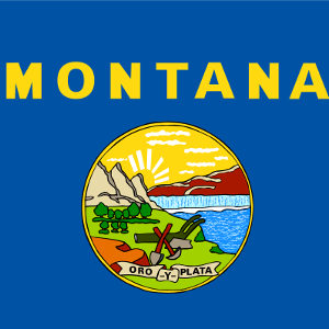 Montana State Flag