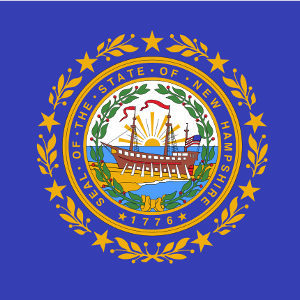 New Hampshire State Flag